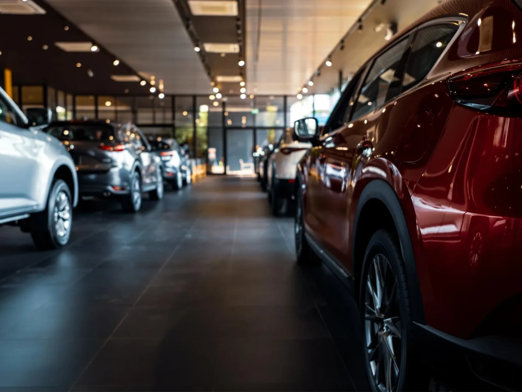 Showroom